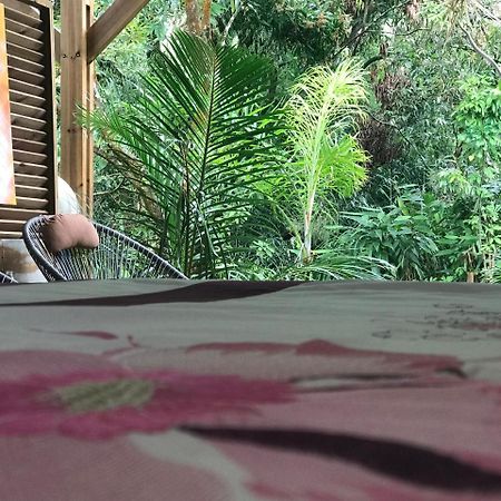 Le Lambablanc Bed & Breakfast Bras-Panon Dış mekan fotoğraf